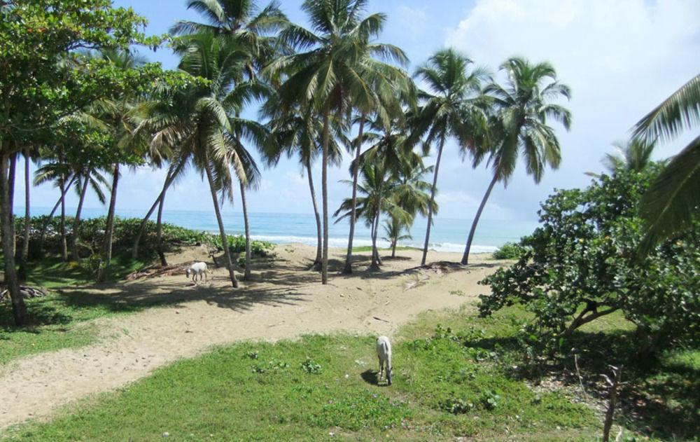 Brisas Doradas Кабарете Экстерьер фото